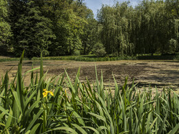 Budafai arborétum tavasszal, fotó: Czigóth Sándor