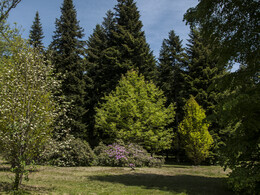 Budafai arborétum tavasszal, fotó: Czigóth Sándor