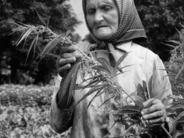 Sző, fon…, fotó: Bakonyi Erzsébet