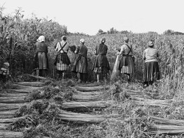 Sző, fon…, fotó: Bakonyi Erzsébet