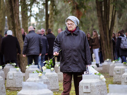 Mementó, fotó: Gergely Szilárd