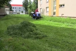 fű