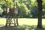 erdő