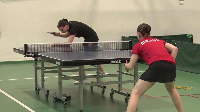 pingpong
