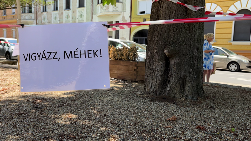 méhek