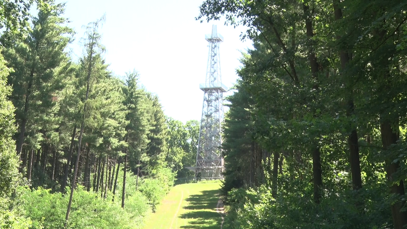 kilátó