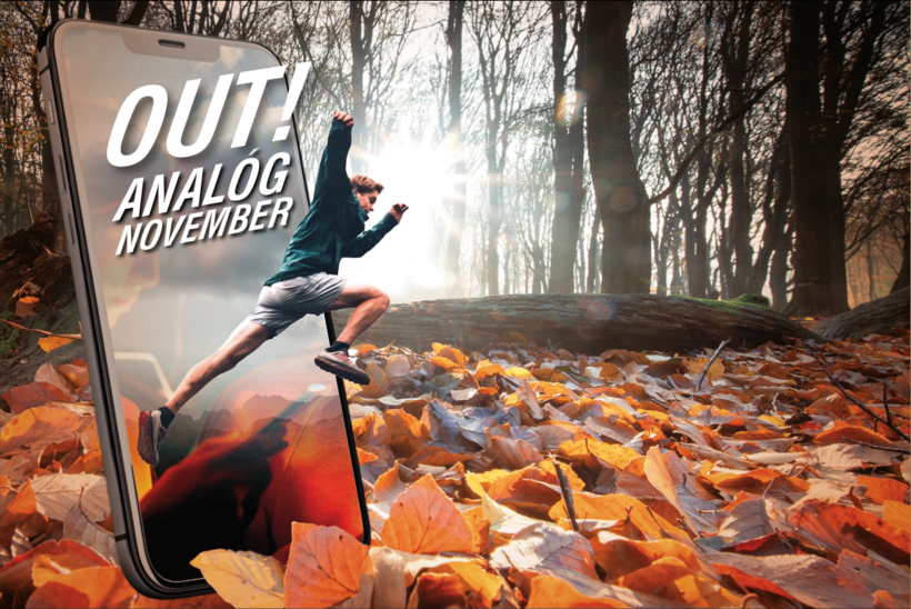 analóg november