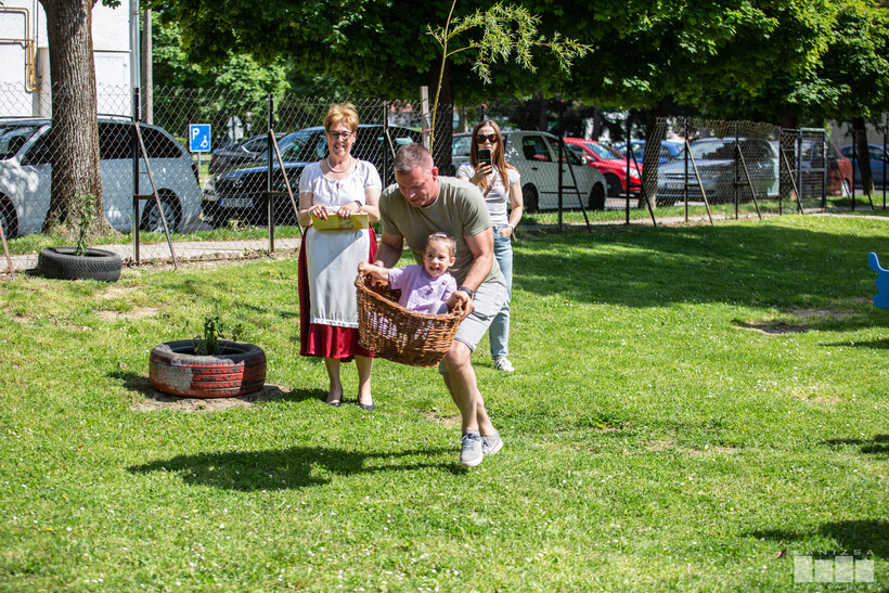 Napraforgó Bölcsőde