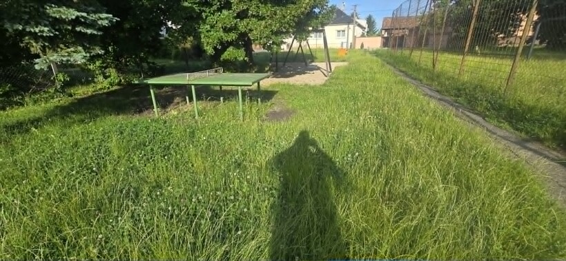 fűnyírás
