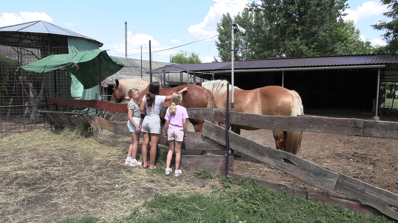 Héthatár Kecskefarm