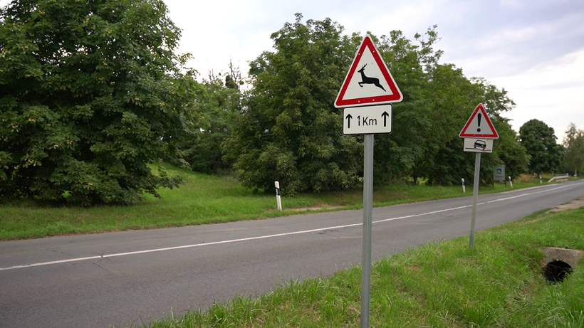 őzek párzási időszaka