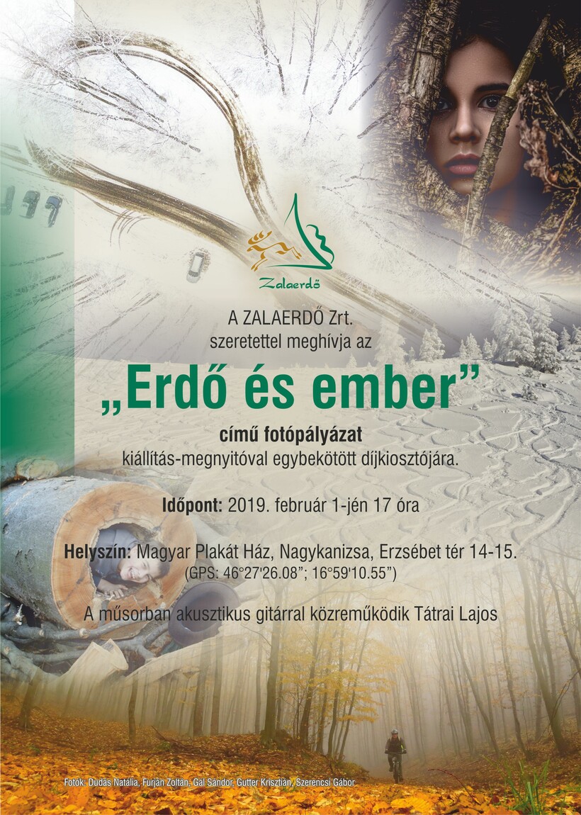 Erdő és ember