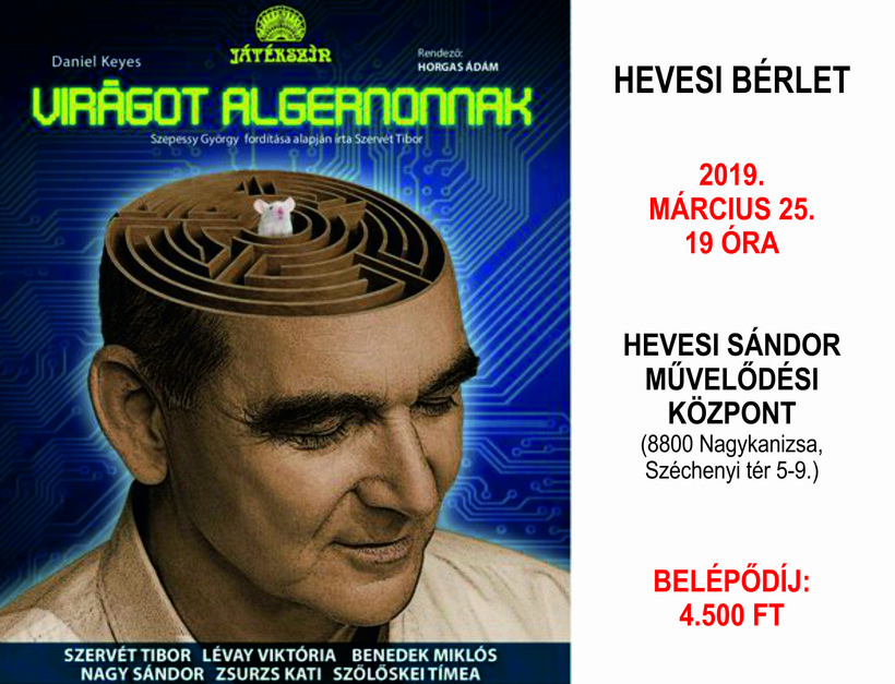Virágot Algernonnak