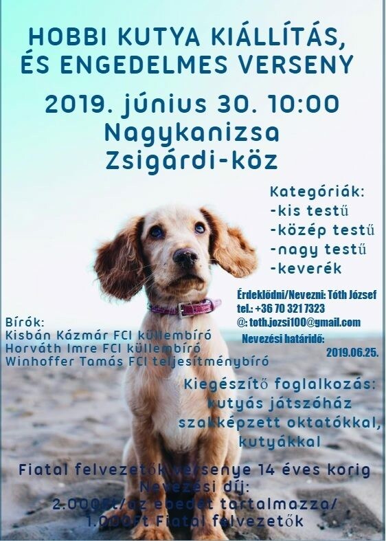 Kutyás program