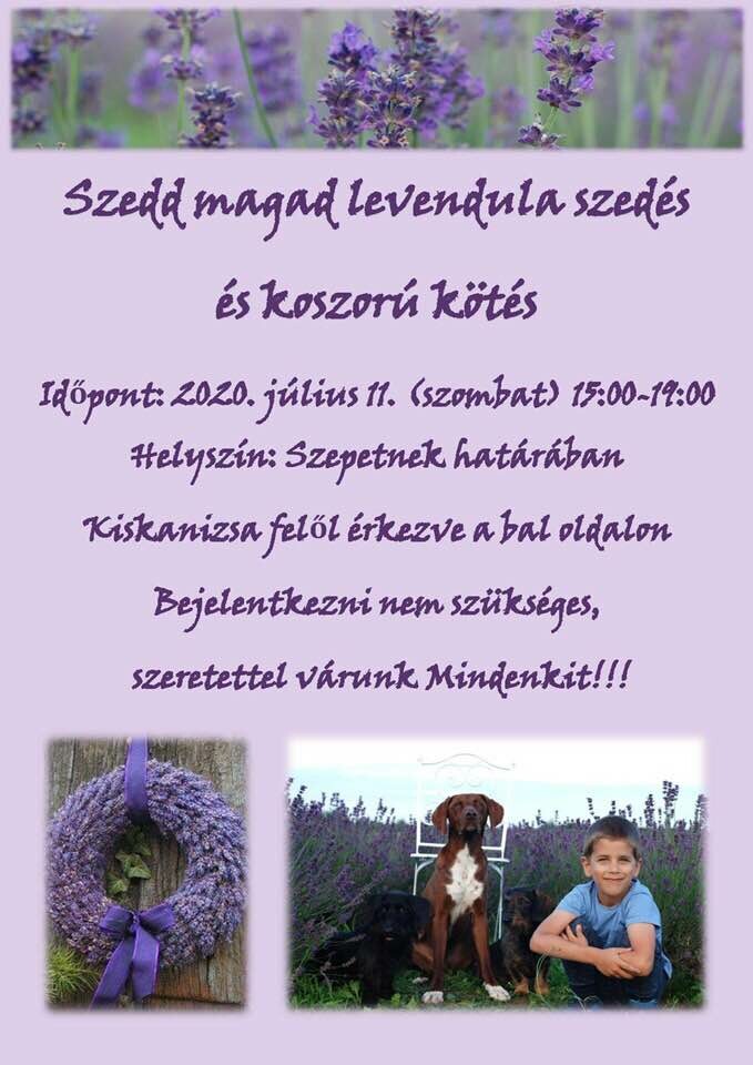 Szedd magad!