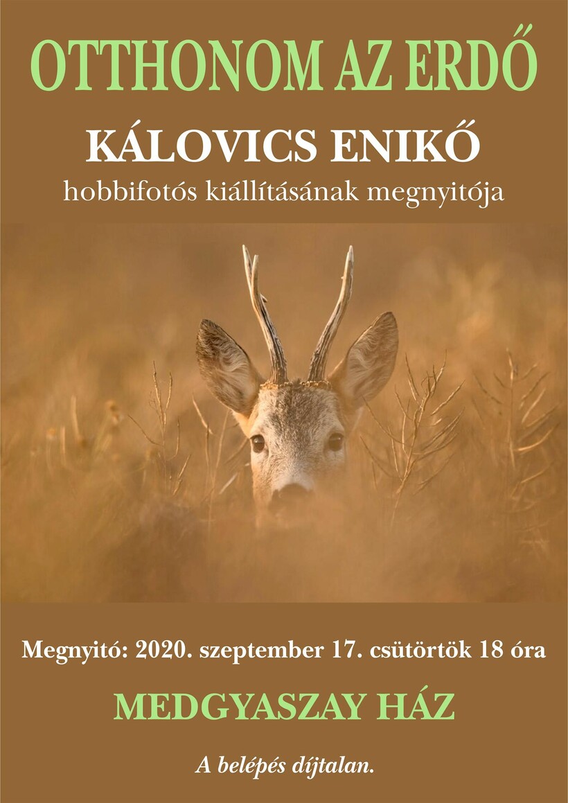Otthonom az erdő