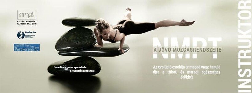 Natural Movement Pattern Training 