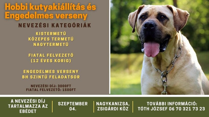 Hobbi kutyakiállítás és engedelmes verseny