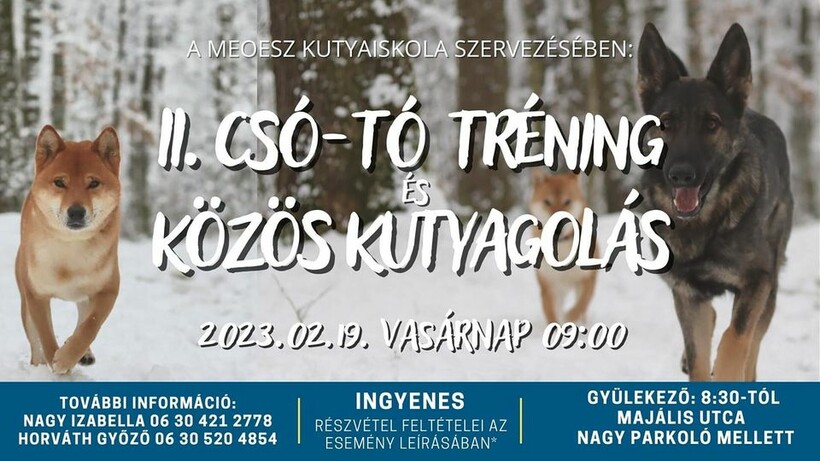 II. Csó-Tó tréning és közös kutyagolás