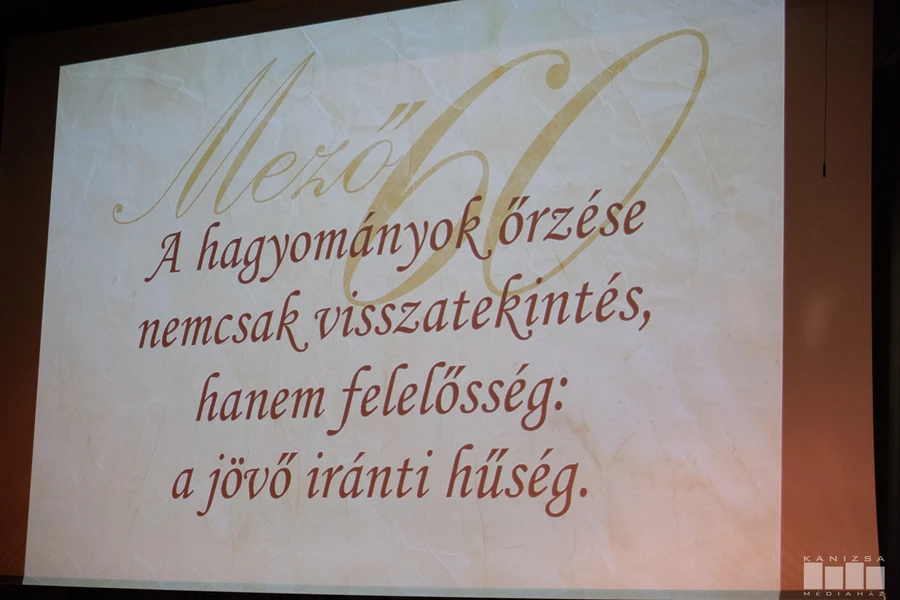 mező