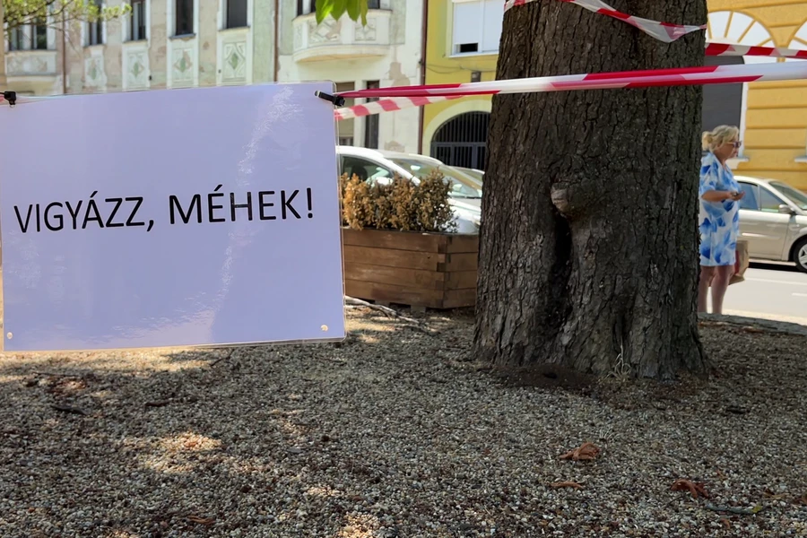 méhek