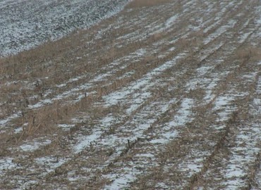 Mezőgazdaság télen
