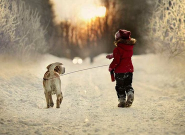 10 hasznos tipp, mivel erősítsük immunrendszerünket