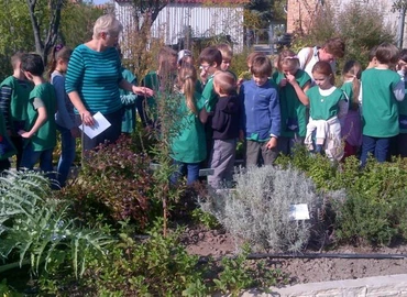 Ökoiskola címre pályázhatnak köznevelési intézmények