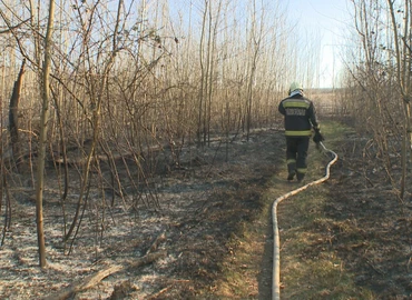 Több mint húsz hektáron égett a nádas és az erdei aljnövényzet tegnap Miklósfán