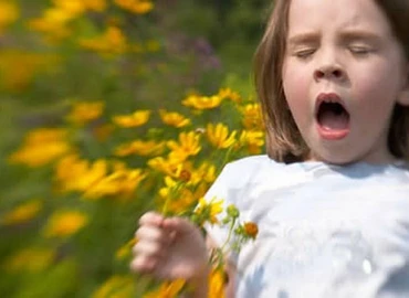 Viharos időben fokozódhatnak az allergiások tünetei