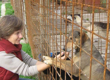 Ismét a kalendárium lapjain a menhely lakói