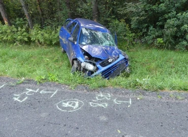 Vaddisznó ugrott a Suzuki elé