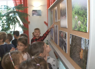 Megnyílt az Ezer színű természet című kiállítás a Palini-iskolában