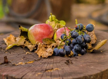 Tél előtt különösen fontosak a vitaminok