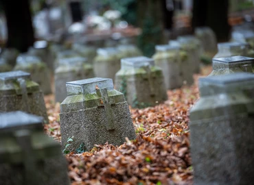 Szavak helyett beszéljenek a lángnyelvek