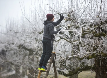 A hét képe – Metsző hidegben…