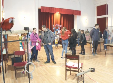 Rózsás kakadut, gyémántgalambot és leopárd teknőst is láthattak az érdeklődők a hétvégén Nagykanizsán