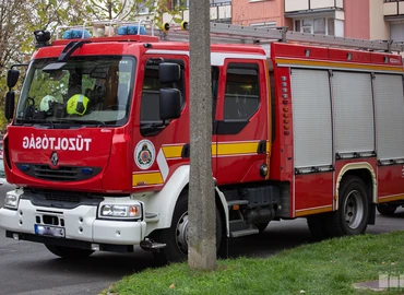 tűz