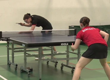 pingpong