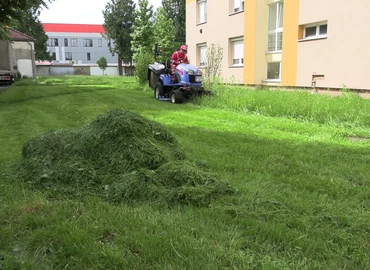 fű