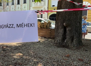 méhek