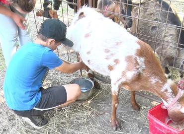 Héthatár Kecskefarm