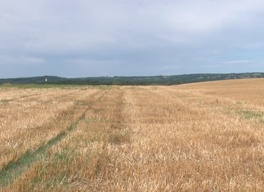 aratás
