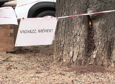 méh