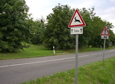 őzek párzási időszaka