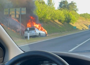 Peszmeg Gábor fotója