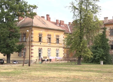 hajléktalanszálló