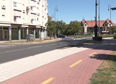 vádemelés