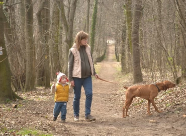 Koronavírus - Séta után ajánlott fertőtleníteni a kutyákat