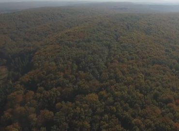 Szünetelnek az erdei vasutak, szálláshelyek, erdészeti erdei iskolák is